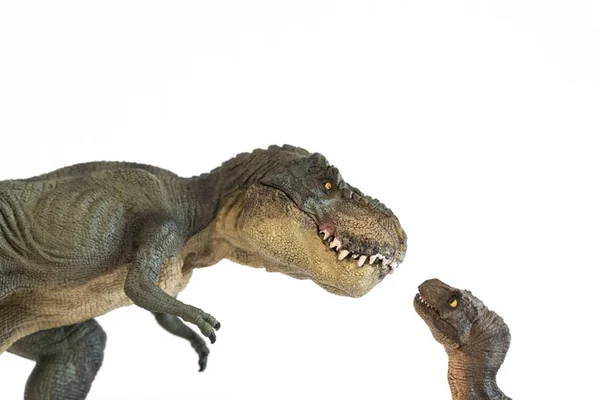 Tyrannosaurus rex avec bébé tyrannosaurus rex isolé sur fond blanc — Photo