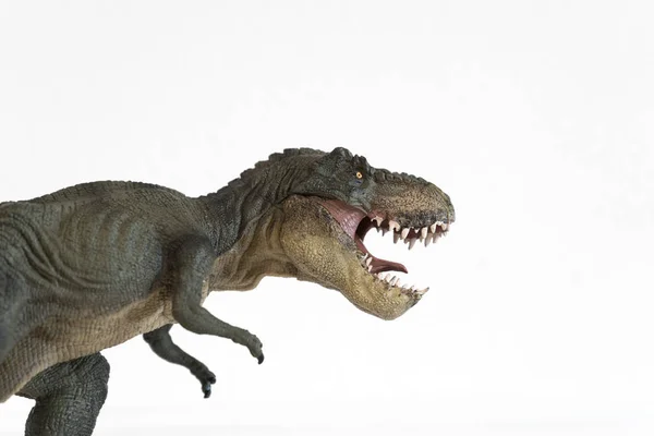 Portrait of a tyrannosaurus rex on white background — Stock Photo, Image