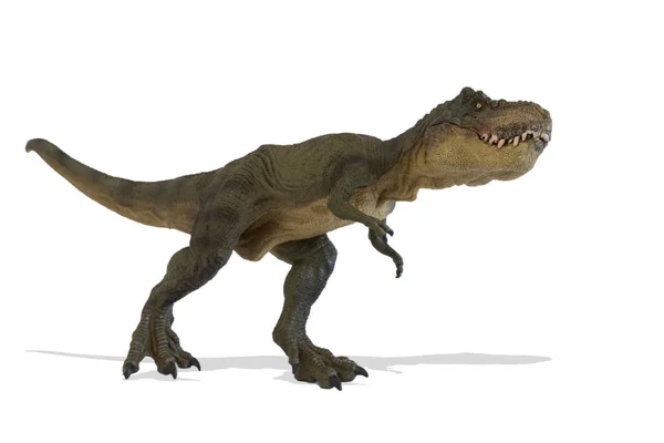 Retrato de um tiranossauro rex sobre fundo branco — Fotografia de Stock