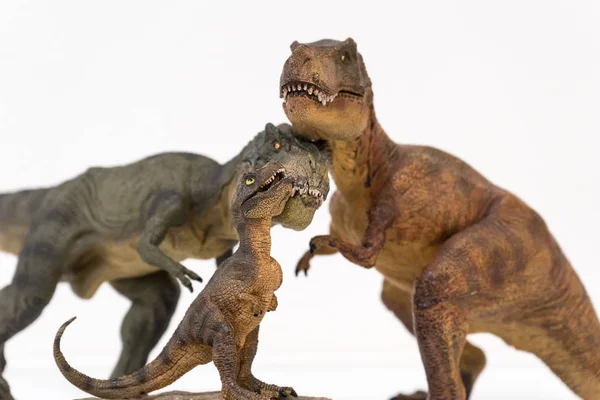 Tyrannosaurus rex con bebé tyrannosaurus rex aislado sobre fondo blanco —  Fotos de Stock