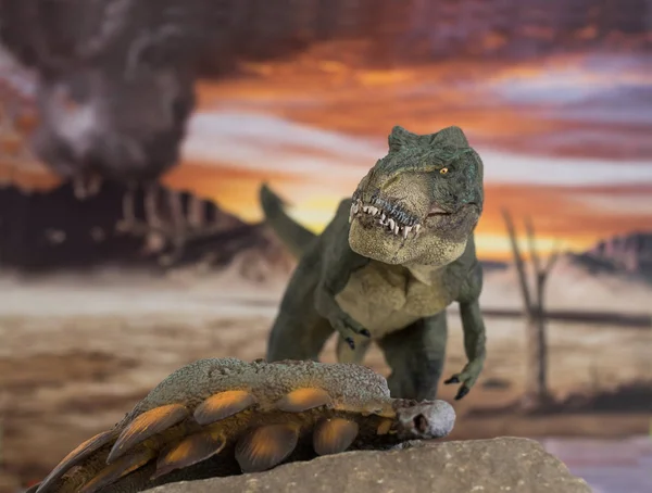 Tiranossauro com estegossauro morto acabou de matar . — Fotografia de Stock