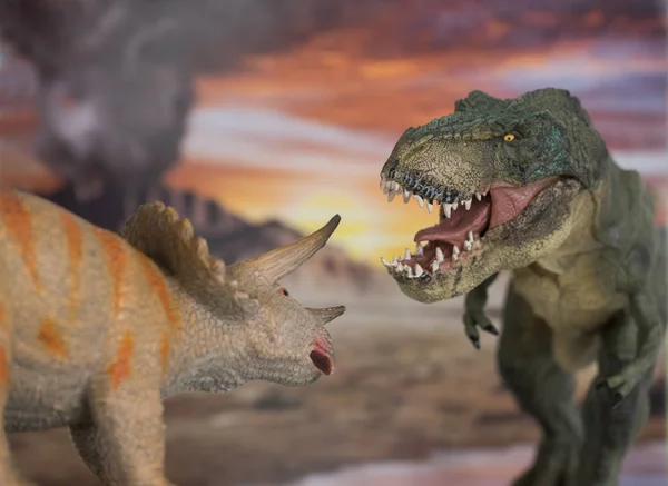 Tyrannosaurus rex καταπολέμηση με τρικεράτωψ με έκρηξη ηφαιστείου στο παρασκήνιο. — Φωτογραφία Αρχείου