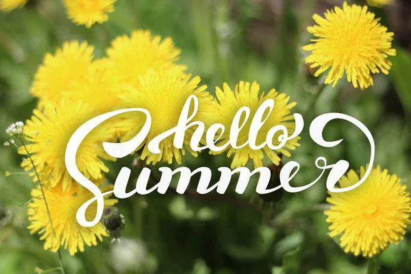 Blumen Hintergrund und hallo Sommer Schriftzug — Stockfoto