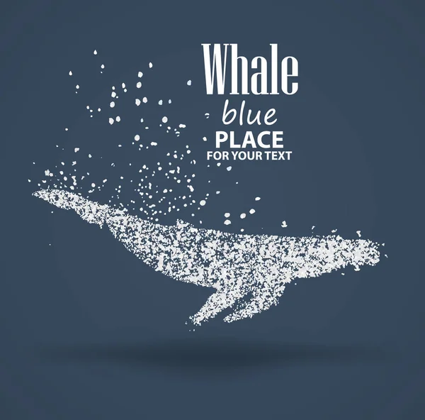 Blue whale ,particle divergent composition, isolated on  background — Stock Vector