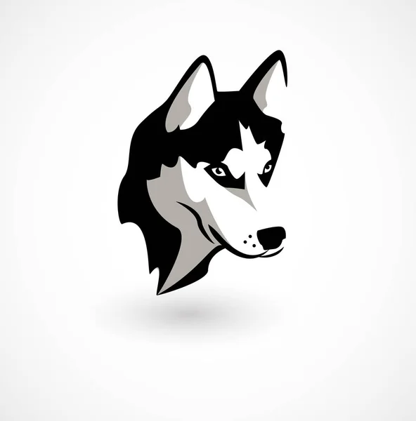 Vectorillustratie van Husky geïsoleerd op wit. — Stockvector