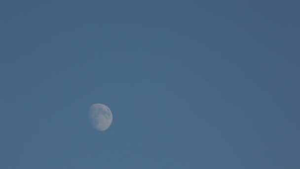 Movimiento lento de la Luna en el cielo azul — Vídeos de Stock