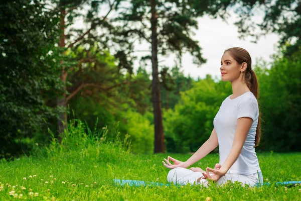 Güzel Genç Bayan Dışarıda Yoga Yapıyor — Stok fotoğraf