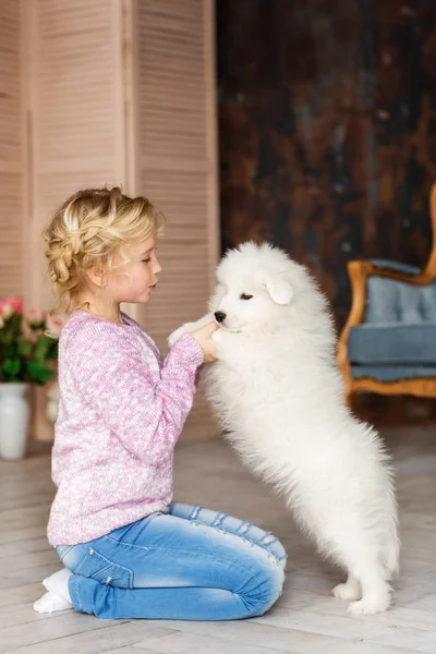 居心地の良い部屋で床に座って白いふわふわ犬と遊ぶ金髪少女 — ストック写真