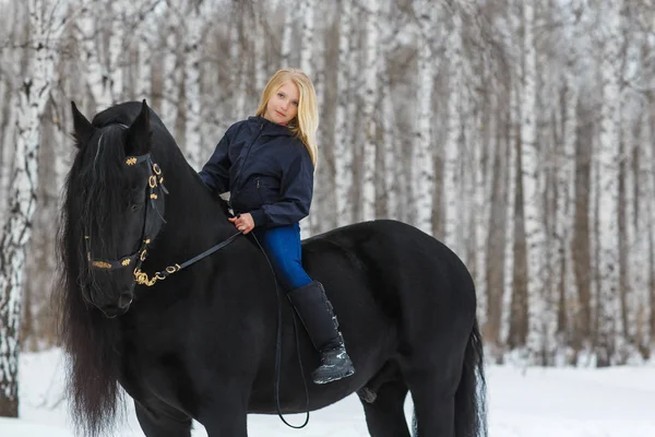 Niña está montando un caballo frisón, al aire libre —  Fotos de Stock