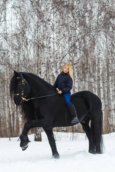 Niña está montando un caballo frisón, al aire libre —  Fotos de Stock