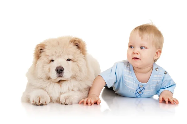 Pequeño Niño Con Cachorro Chow Chow — Foto de Stock