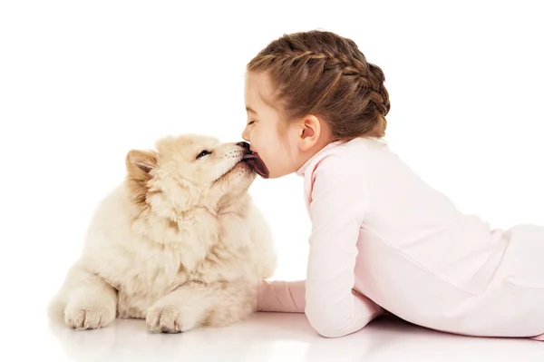 Kleines Mädchen Mit Chow Chow Welpen — Stockfoto