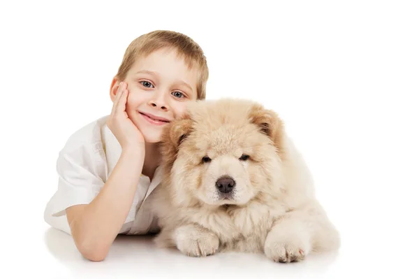 Liten Pojke Med Chow Chow Valpar — Stockfoto