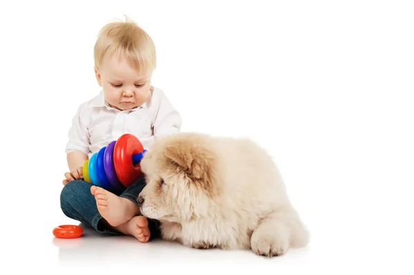 小男孩与周 Puppie — 图库照片