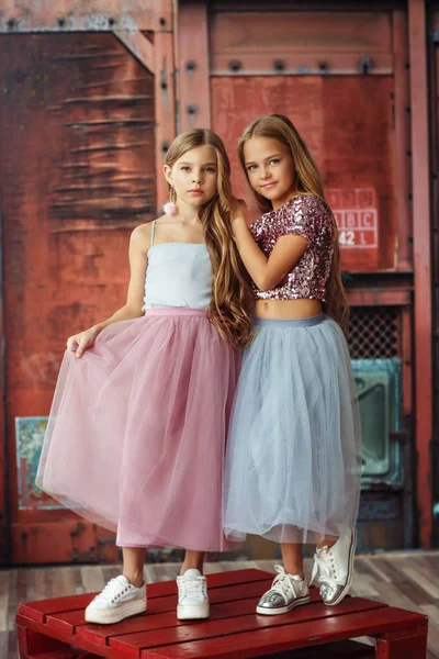 Dwa Stylowe Dziewczyny Pozowanie Studio — Zdjęcie stockowe