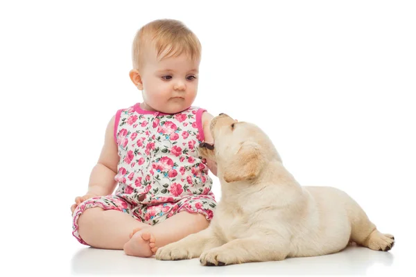 Niña Con Cachorro Labrador —  Fotos de Stock