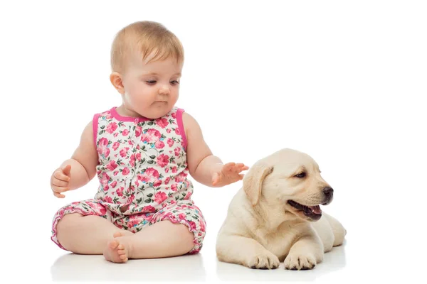 Menina Bebê Com Filhote Cachorro Labrador — Fotografia de Stock