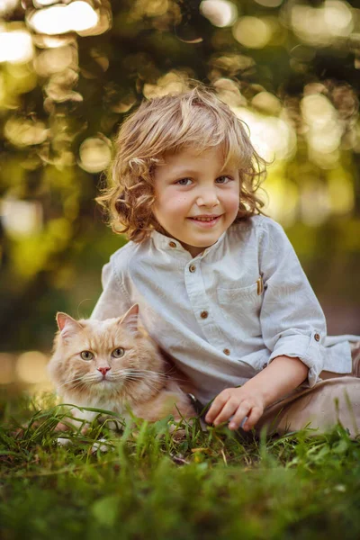 小卷曲男孩 有一只红头发的猫 — 图库照片