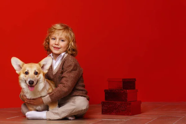 Kleine Schattige Jongen Met Een Corgi Puppy — Stockfoto
