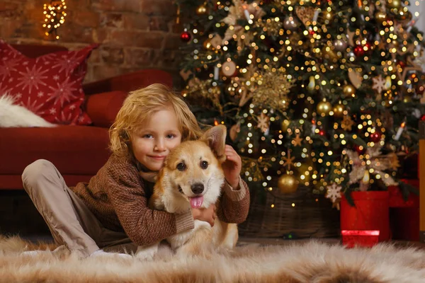 Mały Uroczy Chłopiec Corgi Szczeniak Pobliżu Choinki — Zdjęcie stockowe