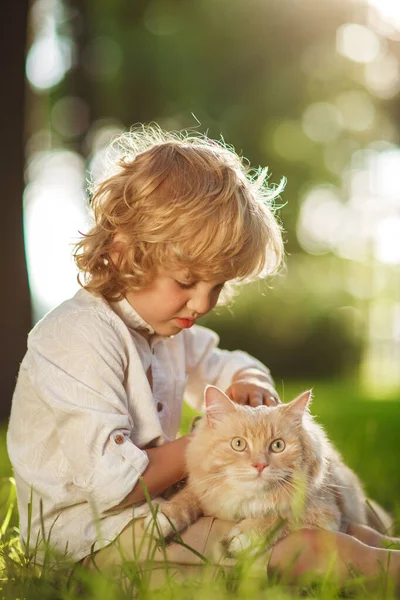 Kleine Krullende Jongen Met Een Roodharige Kat — Stockfoto