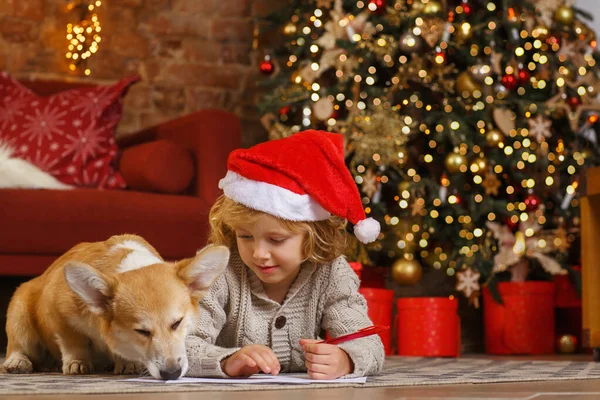 一个卷曲的小男孩带着一只科奇小狗在圣诞树旁给圣诞老人写信 — 图库照片