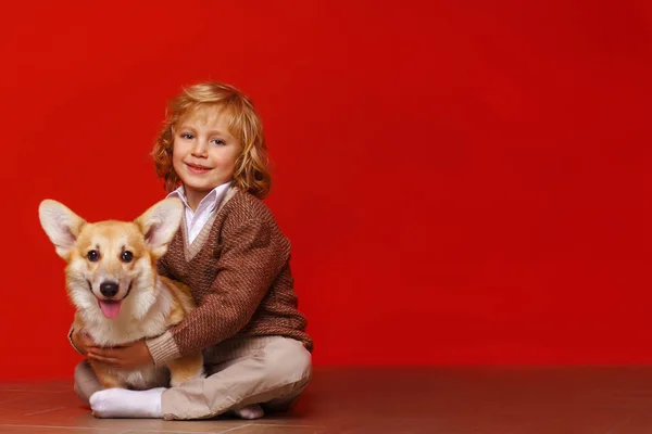 Kleine Schattige Jongen Met Een Corgi Puppy — Stockfoto