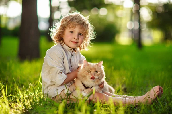Malý Kudrnatý Chlapec Ryšavou Kočkou — Stock fotografie
