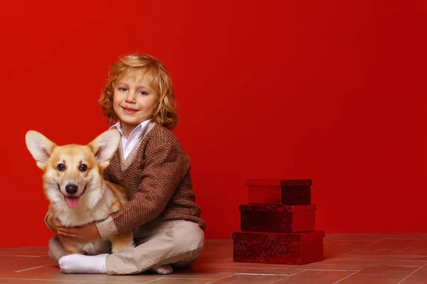 Corgi Köpeği Olan Şirin Bir Çocuk Telifsiz Stok Imajlar