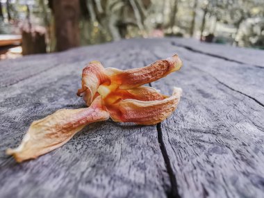 Gri ahşap arka planda kurumuş çiçekler