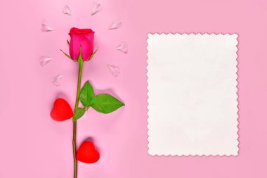 Yazı için fotokopi alanı olan kart, pembe arka planda gül ve güzel taç yaprakları olan. Metin için kopyalama alanı olan bahar ya da yaz arkaplanı. Yapraklı kartlar. Yukarıdan bak. Daire yalan söylüyordu..