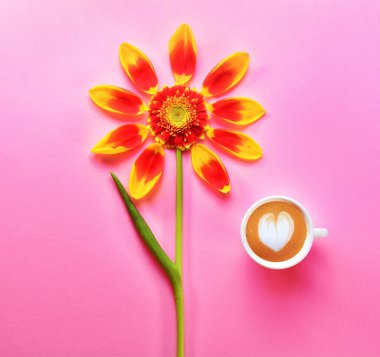 Çiçek yapraklı bir fincan kahve. Kalp ve yapraklı bir fincan kahve. Günaydın. Metin için kopyalama alanı olan bahar ya da yaz arkaplanı: boş kırtasiye şablonu. Düz yatıyordu.