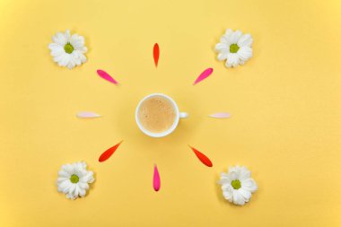 Yazı için yeri olan bahar çiçekleri. Çiçek arkaplan. Bir fincan kahve. Güzel papatya çayı. Sarı arka planda pembe yapraklar. Çiçek yaprakları ve papatyalar. Sarı arka planda çiçekler ve beyaz bardak. Sarı yapraklı bir fincan kahve.