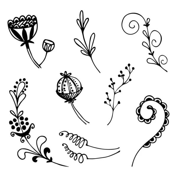 Ensemble de fleurs sauvages stylisées abstraites à rameaux libres isolées sur fond blanc dans un style linéaire. Illustration vectorielle. Neuf éléments botaniques — Image vectorielle