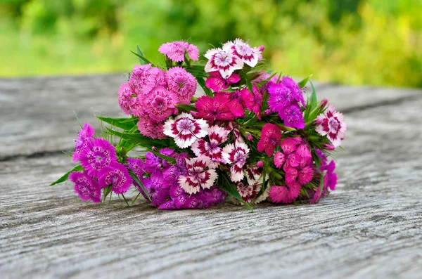 Bouquet of small carnations on a wooden background — Stock Photo, Image