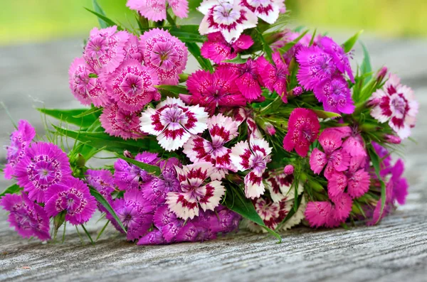 Bouquet of small carnations on a wooden background — Stock Photo, Image