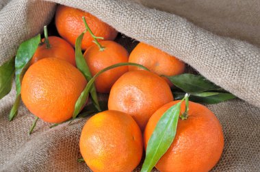 Bir kaba Sivas'tan üzerinde taze, olgun narenciye