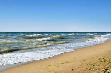 Mavi bir gökyüzü karşı plaj dalgalar deniz yıkama.
