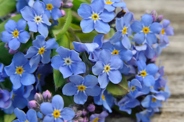 木製の背景に青の忘れの花束-私 — ストック写真