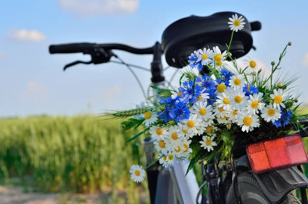 Bouquet of wild flowers on the trunk of a bicycle. Summer walks in a field on a bicycle — Stock Photo, Image