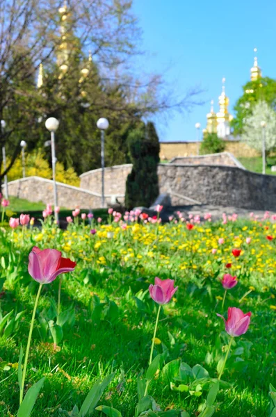 Egyház a Kiev Pechersk Lavra, húsvéti ünnepek alatt — Stock Fotó