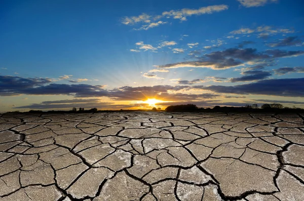 Texture cracked, dry the surface of the earth. Earth  turned into a desert. Global warming, drought — Stock Photo, Image