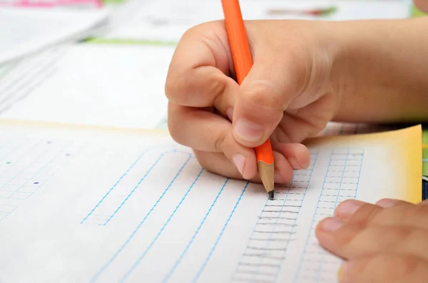 Kleine jongen schrijft ijverig met een potlood in zijn notitieblok. Pres — Stockfoto