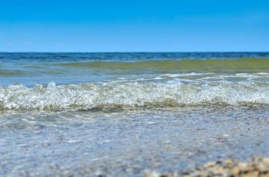 Dalgalar deniz kabukları yapılan temiz plaj yıkanmış. 