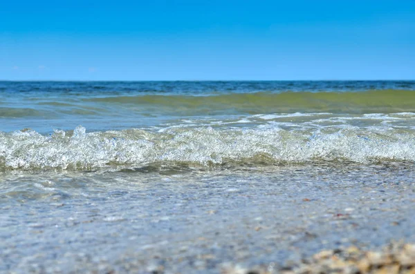 海浪冲刷清洁海滩贝壳做成的. — 图库照片