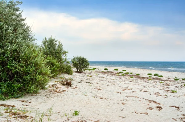 Панорама дикі, моря у національному заповідник острова Джарилгач — стокове фото