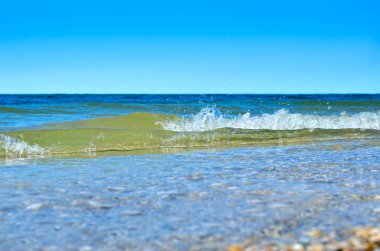 Dalgalar deniz kabukları yapılan temiz plaj yıkadım. Vahşi bir kumsalda manzara