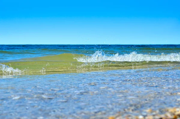 Морські хвилі промивали чистий пляж з раковин. Пейзаж на дикому пляжі — стокове фото