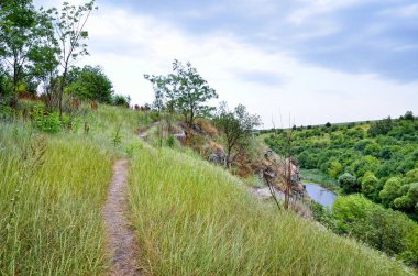 Bir bulutlu gökyüzü arka plan bir kanyonda yeşil ağaçlar