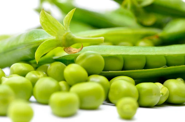 Schoten grüner Erbsen isoliert auf weißem Hintergrund — Stockfoto